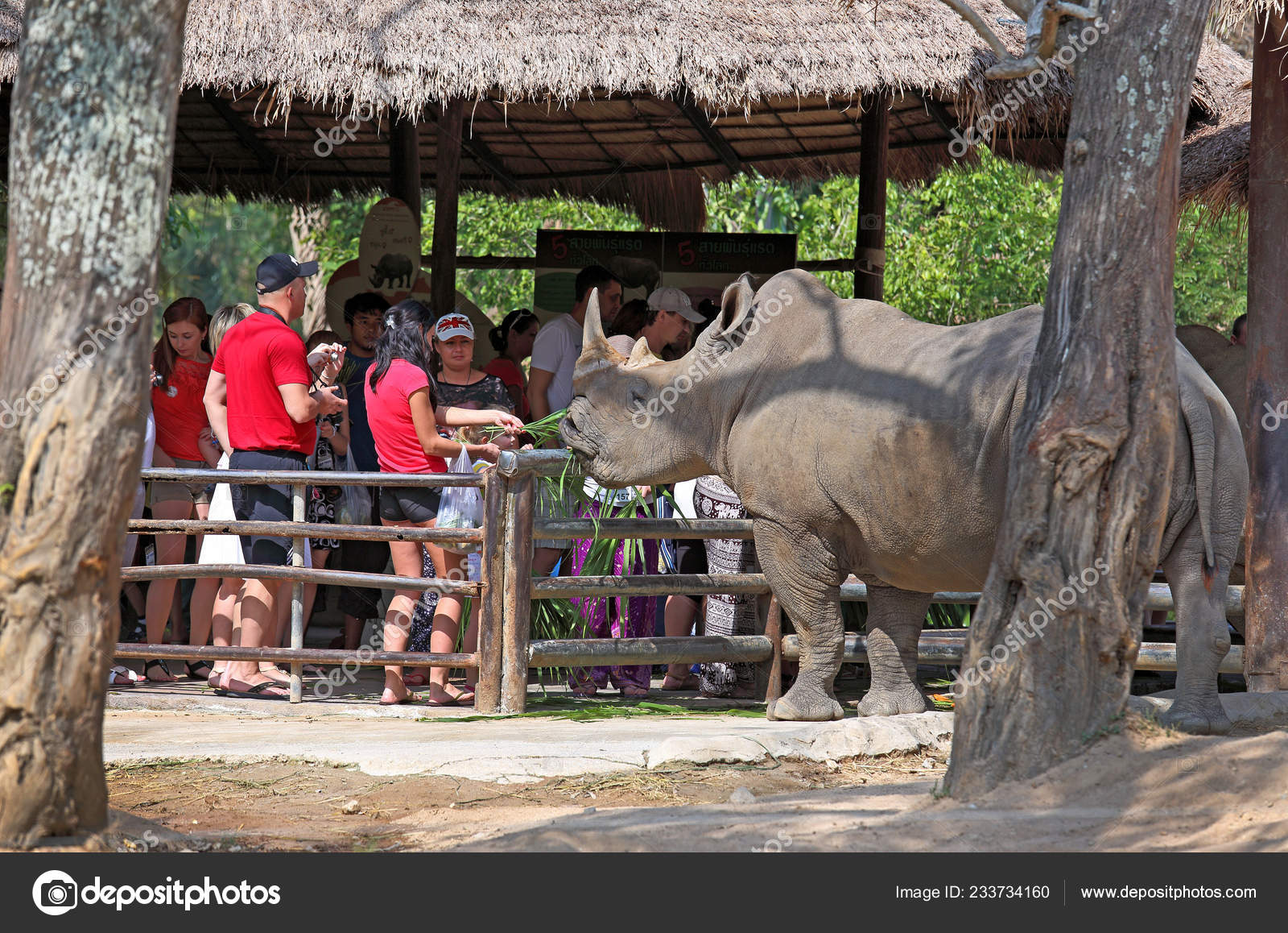 Last summer visited the zoo