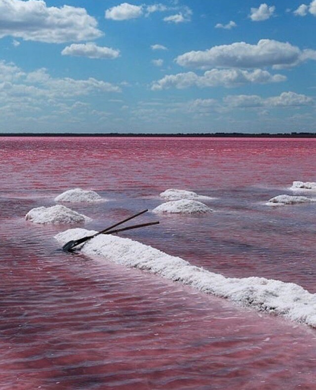 40 км по воде. Бурлинское озеро Алтай. Розовое озеро Бурлинское на Алтае. Бурсоль озеро Алтайский край. Розовое озеро Алтай Бурсоль.