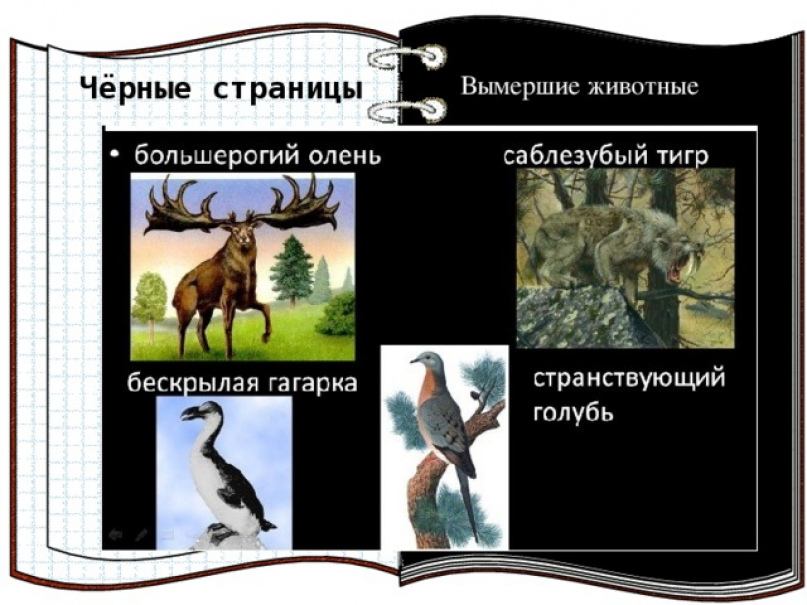 Список исчезнувших. Красная книга вымершие животные черная страница. Красная книга России черные страницы животные и растения. Красная книга России животных чёрные страницы. Чёрные строницыкрасной книги.