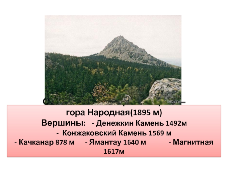 Какова средняя абсолютная высота уральских гор. Южный Урал гора Ямантау 1640 м. Гора народная 1895 м. Денежкин камень гора высота. Гора народная Урал вершина.