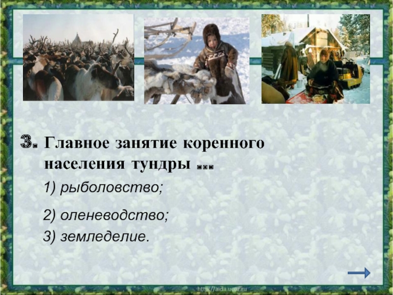 Какое занятие населения. Главное занятие коренных жителей тундры. Занятия населения тундры. Основные занятия населения тундры. Главное занятие населения тундры.