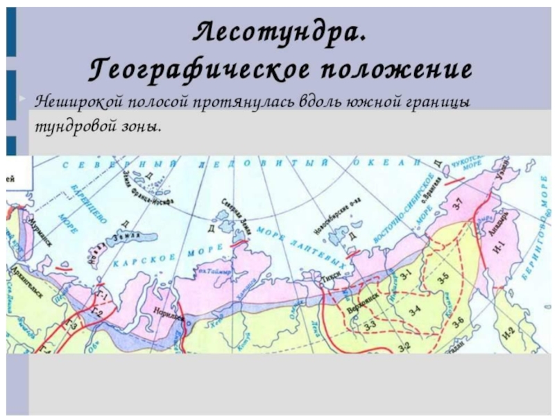 Тундра зона распространения. Зона тундры на карте природных зон. Контурная карта зоны арктических пустынь тундры и лесотундры. Лесотундра на карте России. Зона лесотундры на карте России.