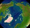 Arctica surface.jpg