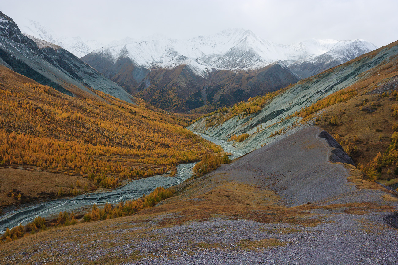 Местоположение горных систем алтая. Золотые горы Алтая Алтайские горы. Долина Ярлу Катунский заповедник. Долина Ярлу Алтай. Долина Ярлу горный Алтай фото.