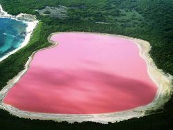 озеро розового цвета