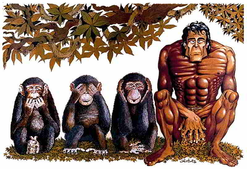 Обезьяна 3 буквы. Обезьяна арт. Три обезьяны. Три обезьяны картина. Изображение трех обезьян.