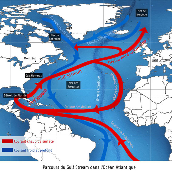 Теплое течение европы. Гольфстрим течения Атлантического океана. Гольфстрим течение. Течение Гольфстрим на карте. Гольфстрим маршрут течения.
