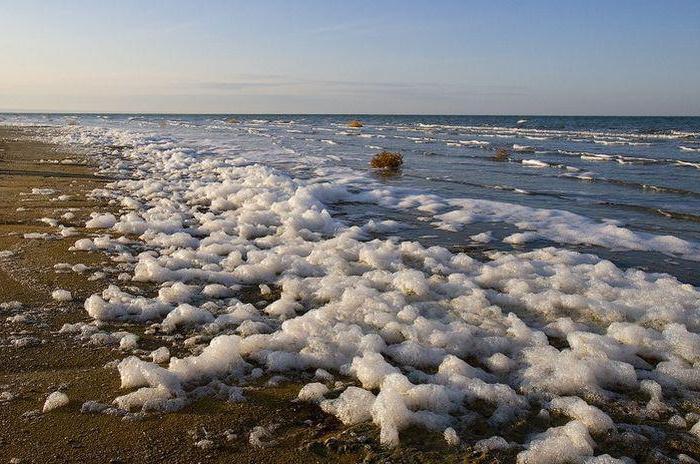 Аральское море почему высохло